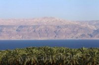 مناقشة تأهيل مدخل غور الصافي العام المقبل