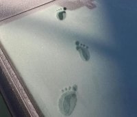 سيدة تعثر على آثار قدم طفل بـ4 أصابع -صورة