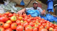 الخضروات ترفع أسعار المنتجين الزراعيين 16.1%