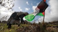 فلسطينيون يزرعون 700شجرة ردا على تدمير الاحتلال لمحمية طبيعية