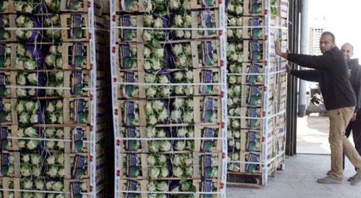 داودية: يمكننا التغلب على البيرقراطية