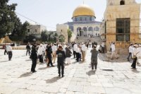 22 اقتحاما للاقصى خلال الشهر الماضي