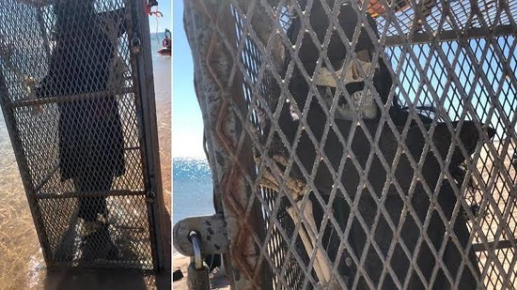 جثة داخل قفص بالبحر تستنفر السلطات السعودية - صور