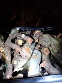 ضبط محطب في البلقاء