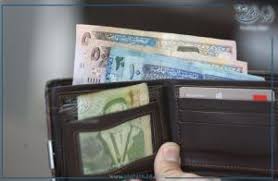 294 ألف مقترضة و 162 ألف مقترض من مؤسسات التمويل الأصغر