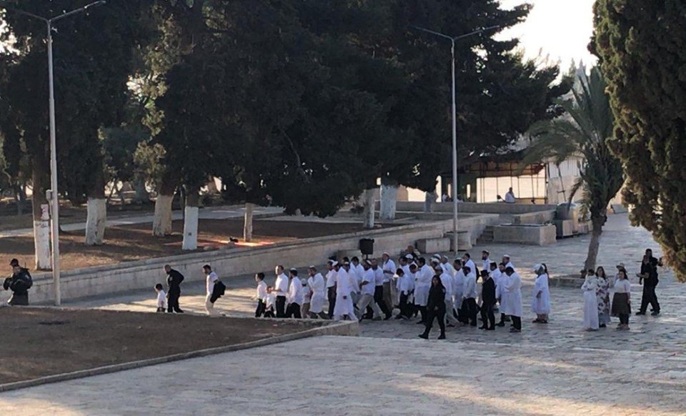 (47) مستوطناً يقتحمون ساحات "الأقصى" بحراسة مشددة