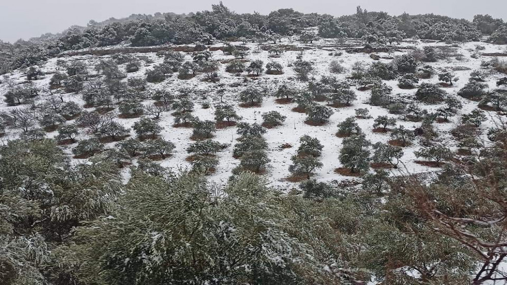 مشهد لا يتكرر للأردن وسورية ولبنان بصورة واحدة (صورة)