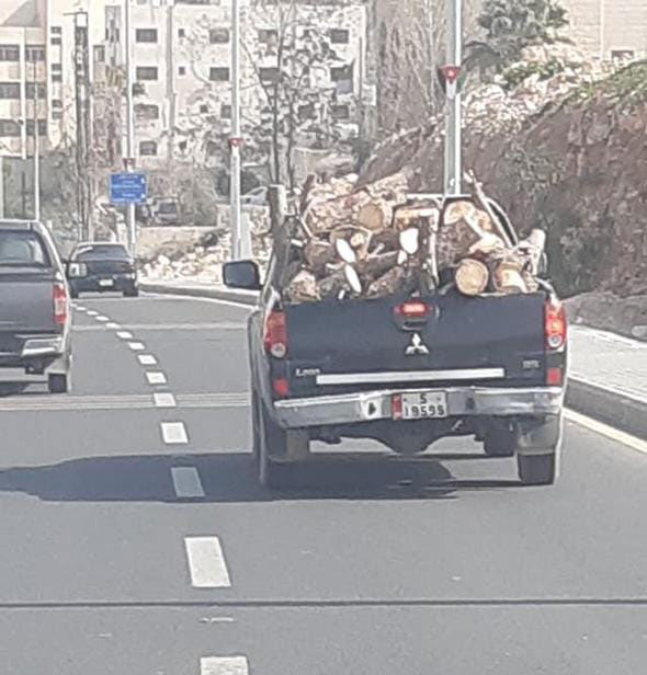 “الزراعة” تنفي متاجرة موظفين بالحطب