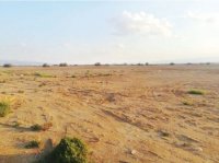 الأغوار: تعليمات استغلال المياه الجوفية تحول دون زراعة عشرات آلاف الدونمات