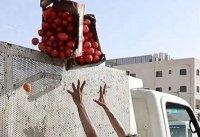 الأمانة ستحقق في التعامل غير اللائق مع البسطات