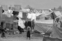 73 عاما على النكبة الفلسطينية .. والاحتلال مستمر