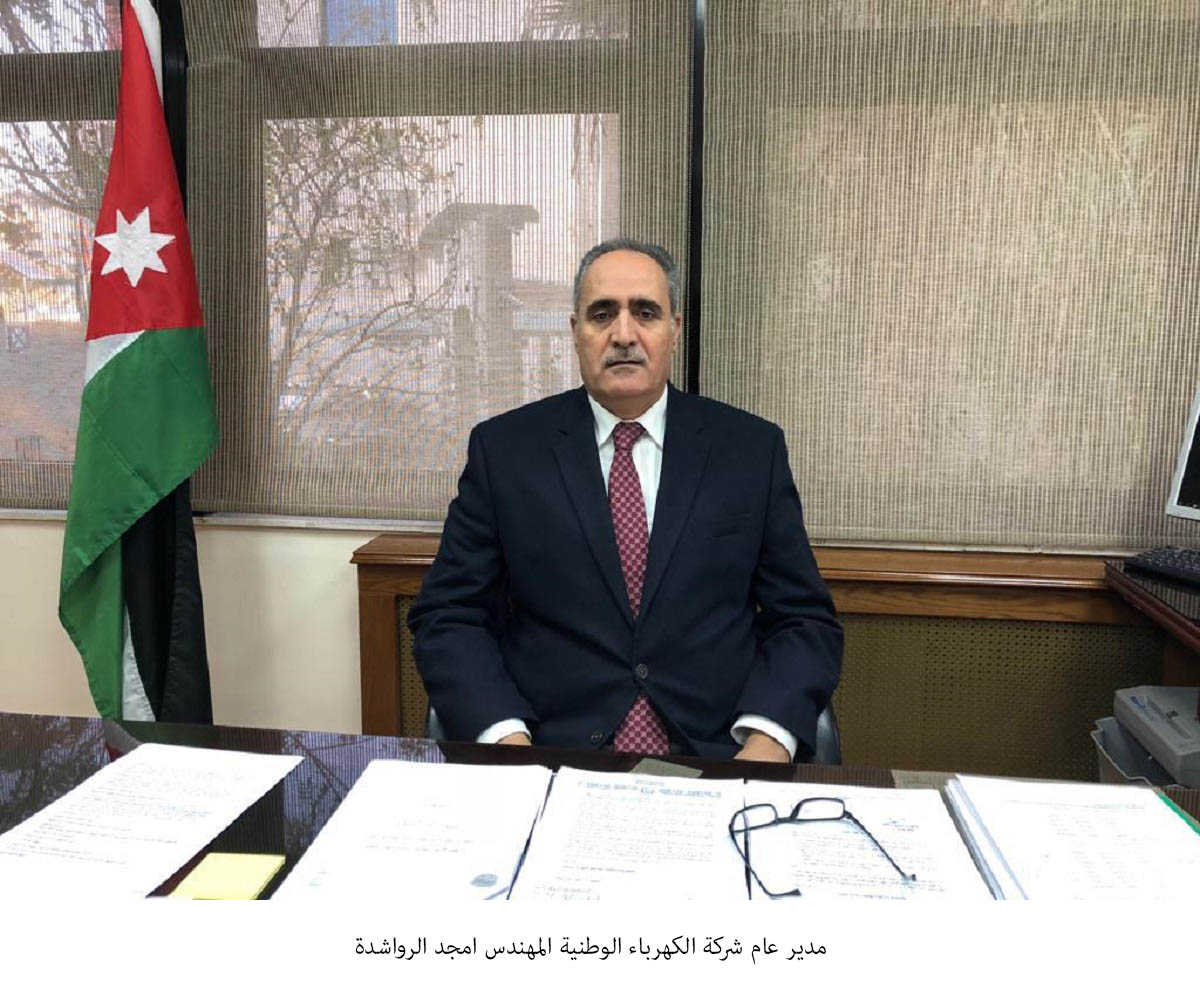 الرواشدة: طائر كبير قد يكون سبب قطع الكهرباء