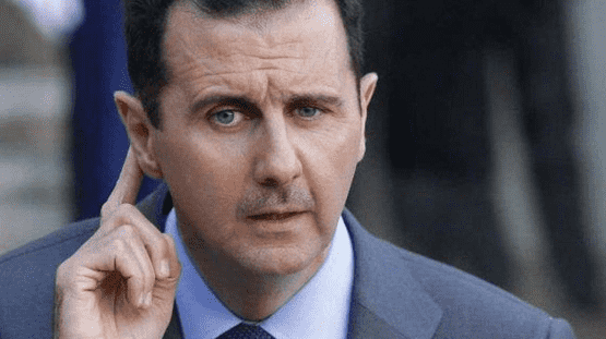 بشار الأسد : كانت ثورة ثيران