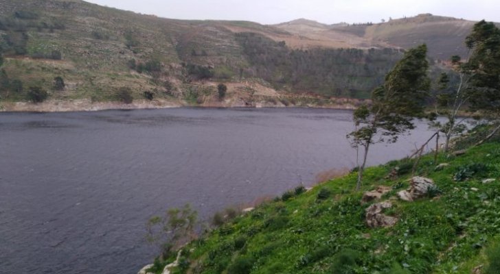 كريشان: الملك وثّق بالفيديو وضع سد الملك طلال من الطائرة وأرسله للخصاونة