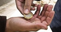 التنمية: ضبط متسولة تمتلك سيارتي نقل مشترك وشحن