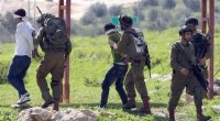 الاحتلال الصهيوني يعتقل 16 فلسطينيا