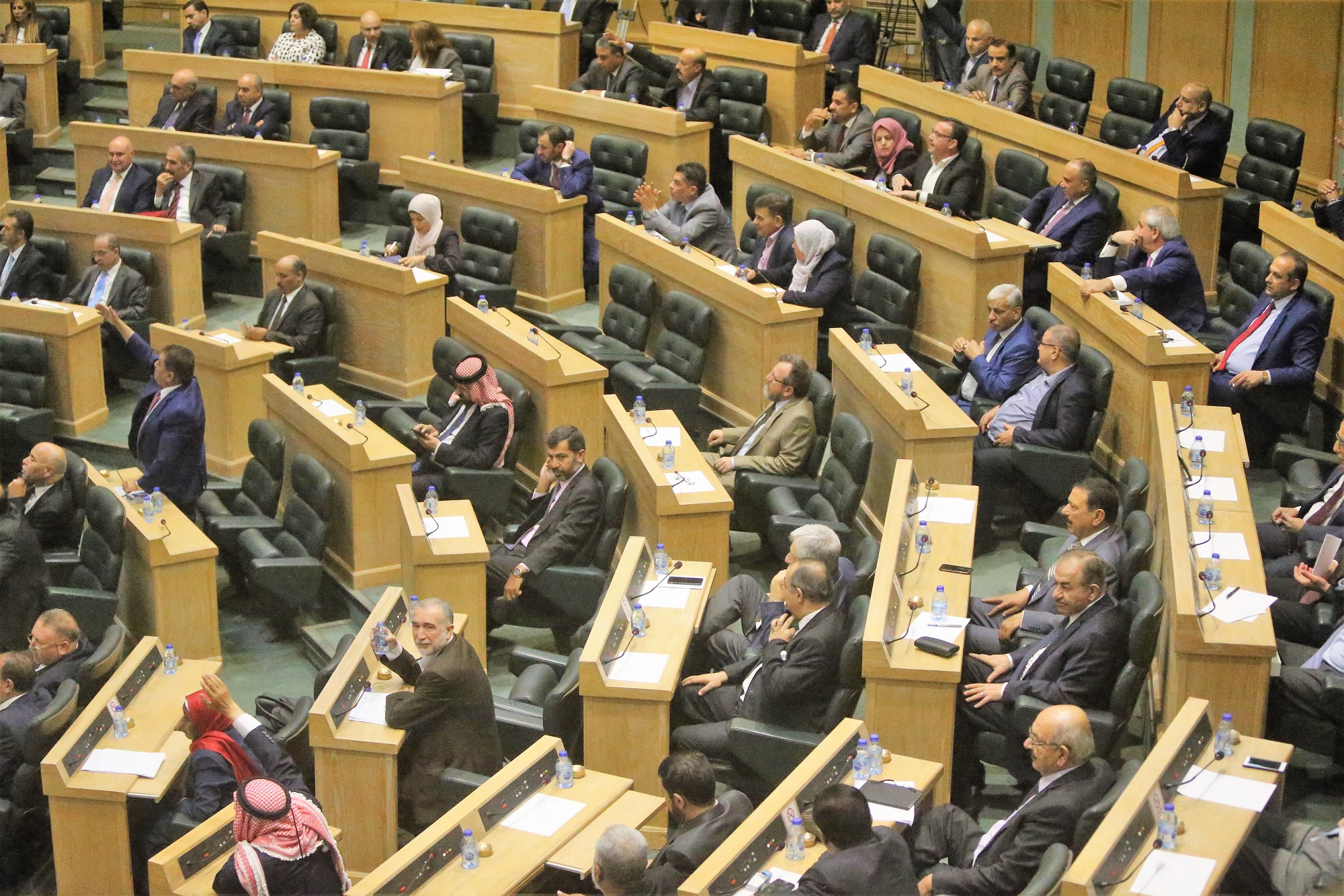 البرلمانية الأردنية الأوروبية: مواقف الأردن ثابتة وراسخة تجاه القضية الفلسطينية