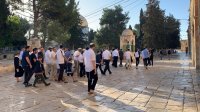مستوطنون يقتحمون المسجد الأقصى وينفذون جولات استفزازية في باحاته (فيديو)