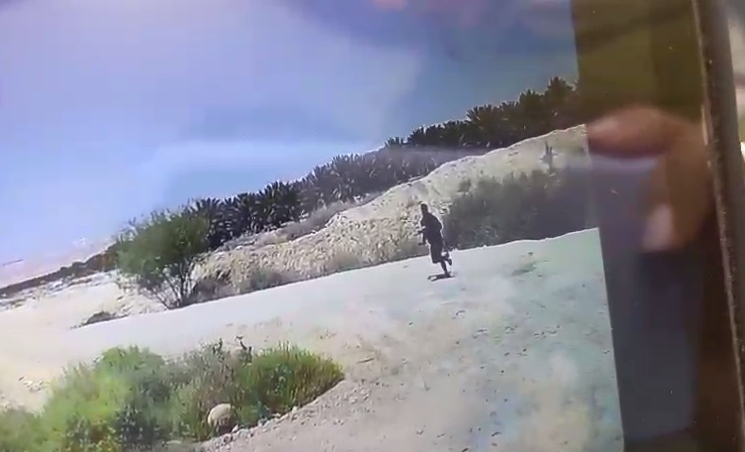 بالفيديو: فلسطيني يطعن مجندة "إسرائيلية" بوادي الأردن ويستولي على سلاحها