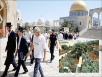 مقارفات الاحتلال الصهيوني  خلال 24 ساعة الماضية