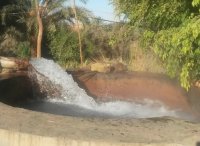 النجار: المغتربون وعطلة المدارس يرفعان الطلب على المياه