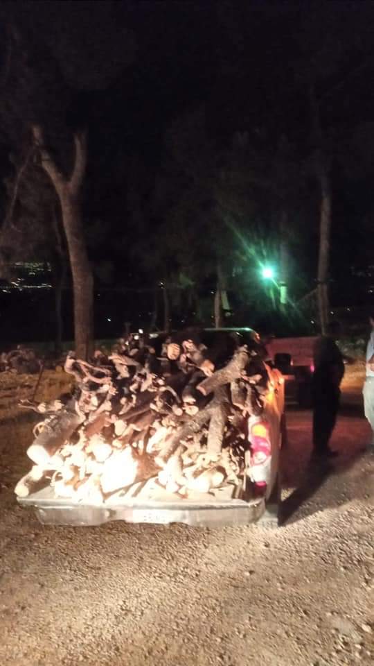 ضبط كميات من الاحطاب الجافة في منطقة برما