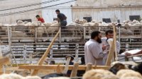 تحذير من "انتكاسة" صحية في حال مخالفة الإجراءات الوقائية في عيد الأضحى