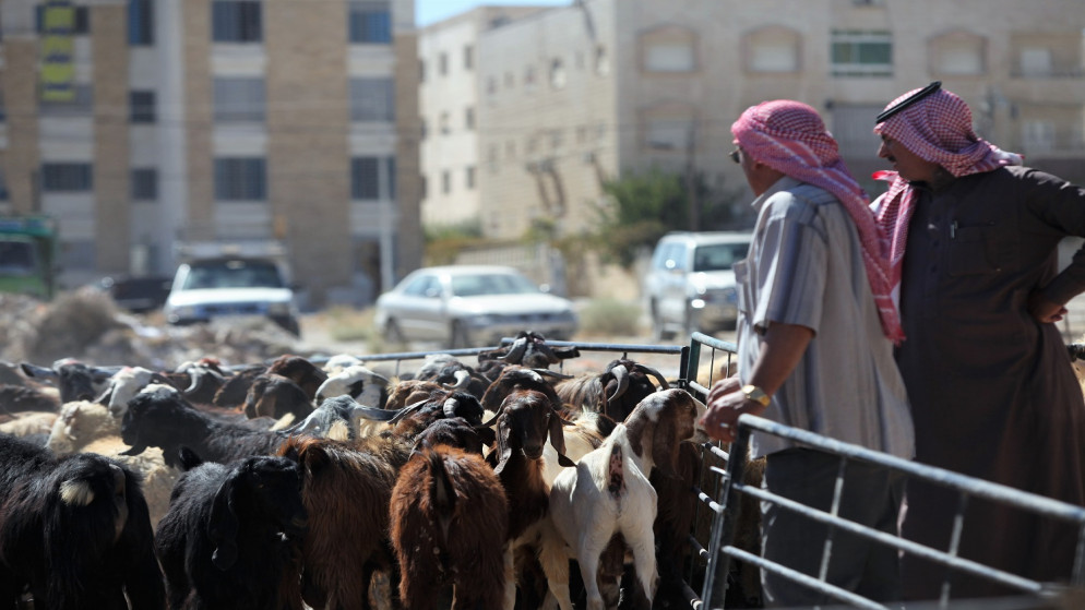 خطة رقابية لعيد الأضحى وجولات تفتيشية على مدار الساعة