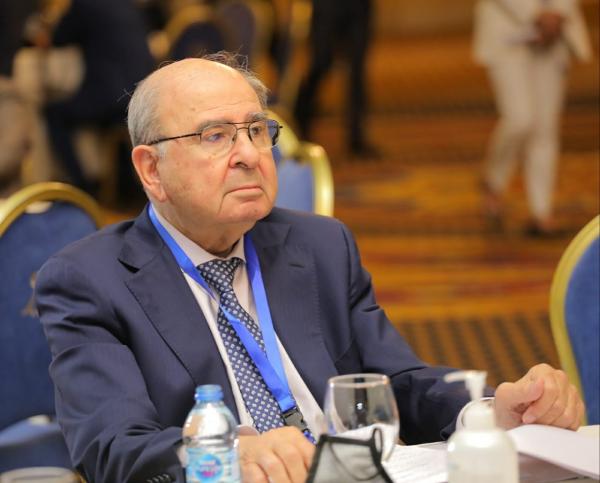 المصري: لا خلاف عالميا على الوصاية الهاشمية