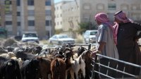 خطة رقابية لعيد الأضحى وجولات تفتيشية على مدار الساعة