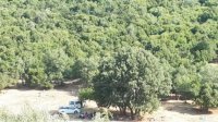 التنزه العشوائي في عجلون يؤثر سلبا على الطبيعة والبيئة