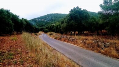حالة الطقس ودرجات الحرارة المتوقعة في الأردن السبت.. تفاصيل
