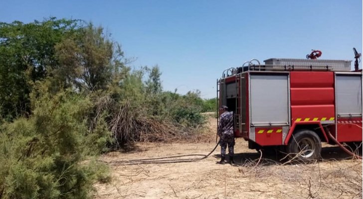 حريق كبير في منطقة الباقورة الأردنية