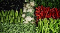 اسعار الخضار والفواكه والورقيات