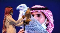 السعودية. صفقة قياسية بعد بيع "أغلى صقر" بأكثر من ربع مليون ريال