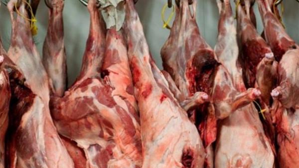 تبرع بها موظفون .. الأردنية تتلف 800 كيلو لحوم اضاحٍ فسدت قبل توزيعها