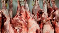 تبرع بها موظفون .. الأردنية تتلف 800 كيلو لحوم اضاحٍ فسدت قبل توزيعها