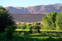 الظهراوي: القدس هي بوصلة الحرب والسلام