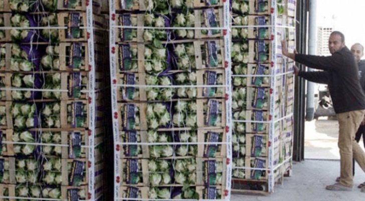 قطر تبدأ باستيراد أصناف جديدة من الخضار والفواكه الأردنية