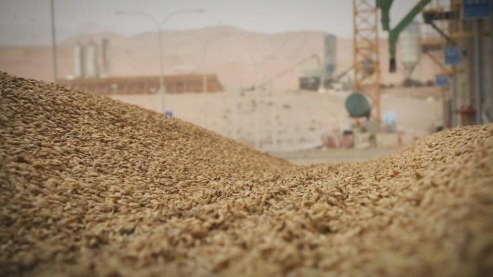 الأردن يطرح عطاء لشراء 120 ألف طن من القمح