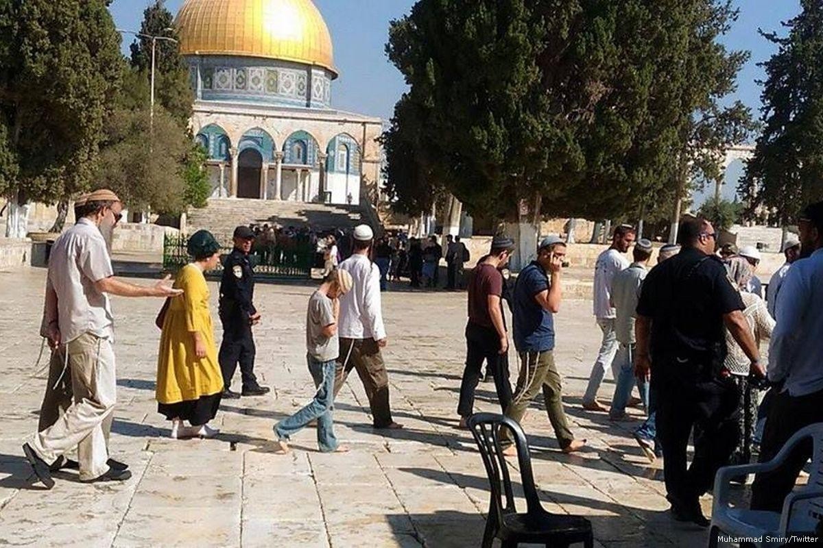 مستوطنون يقتحمون ساحات الأقصى بحراسة شرطة الاحتلال