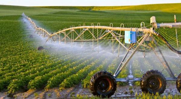 تحرير أسواق مستلزمات الإنتاج الزراعي أمام مجلس الوزراء