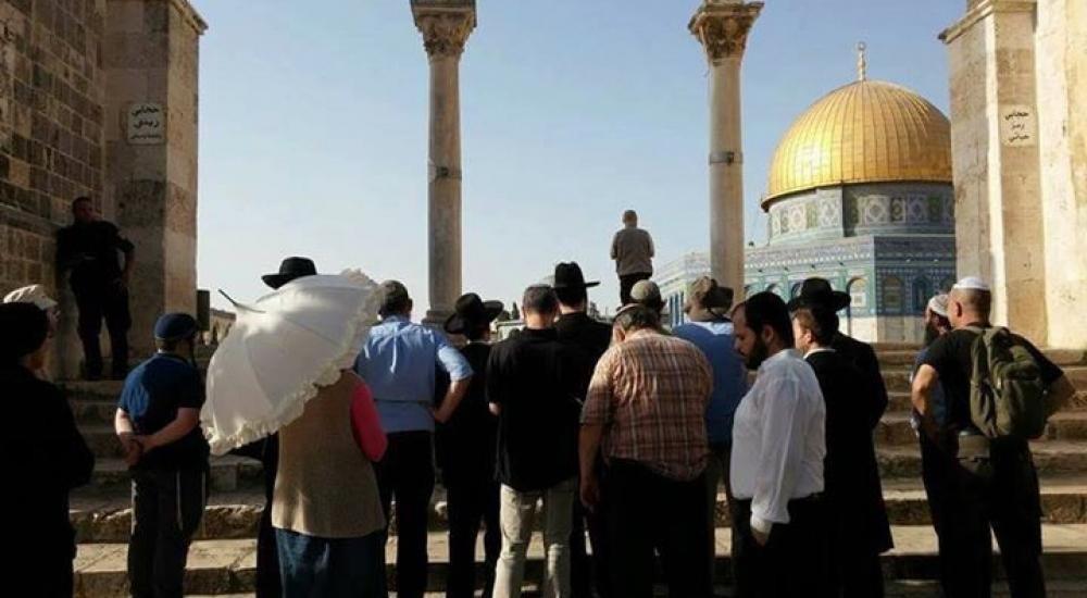 144 مستوطنا يقتحمون الأقصى بحراسة شرطة الاحتلال