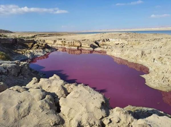 وزير الأسبق : 3 احتمالات لأسباب تغير لون المياه ببركة البحر الميت