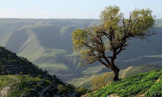 طقس معتدل في أغلب المناطق الأحد
