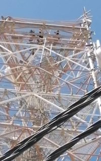 3 شبان يحاولون الإنتحار من أعلى برج إتصالات في معان