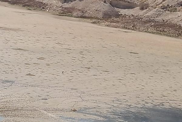 بالصور .. جفاف في سد الموجب
