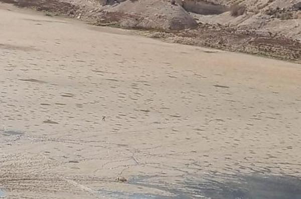 مصدر: المياه أوقفت استخدام سد الموجب بداية آب الماضي