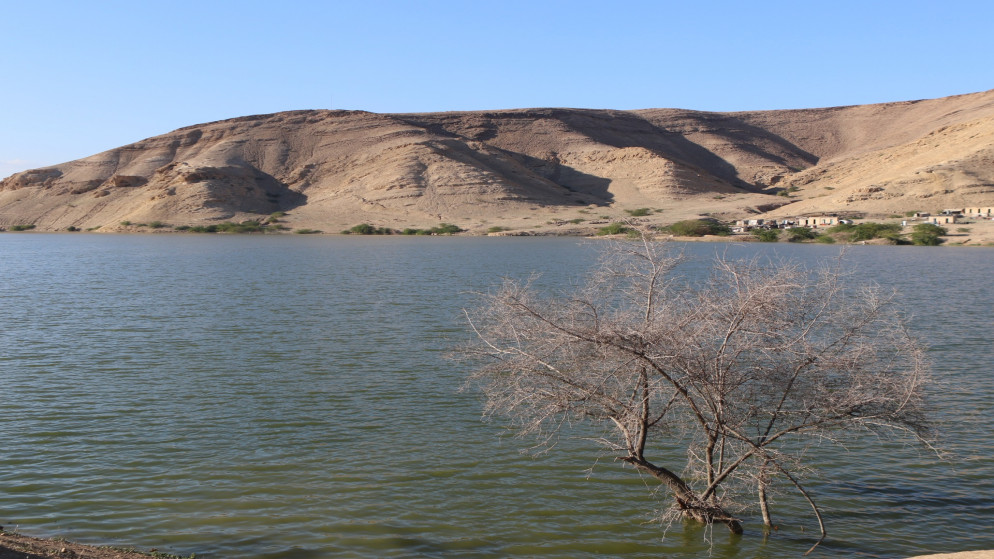 سلطة وادي الأردن تؤكد جاهزية السدود للموسم المطري الحالي  