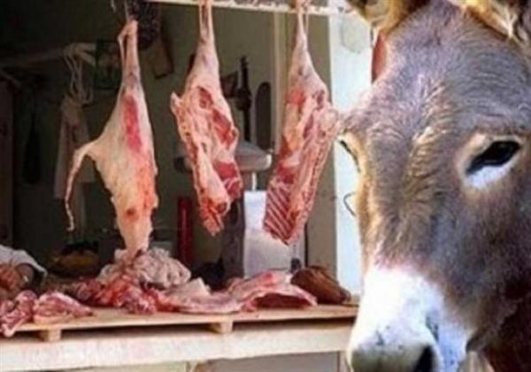 الغذاء والدواء تنفي بيع لحوم حمير في الأردن